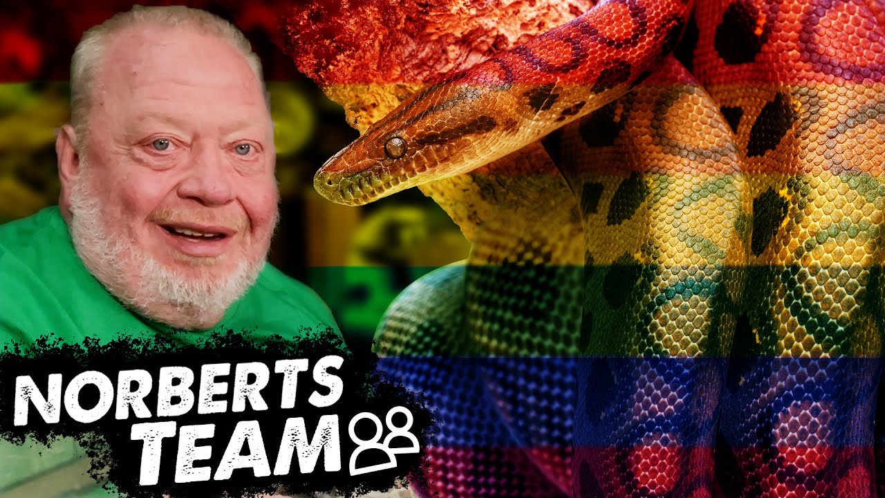 Die REGENBOGENBOA 🌈 | NORBERTS TEAM | Zoo Zajac