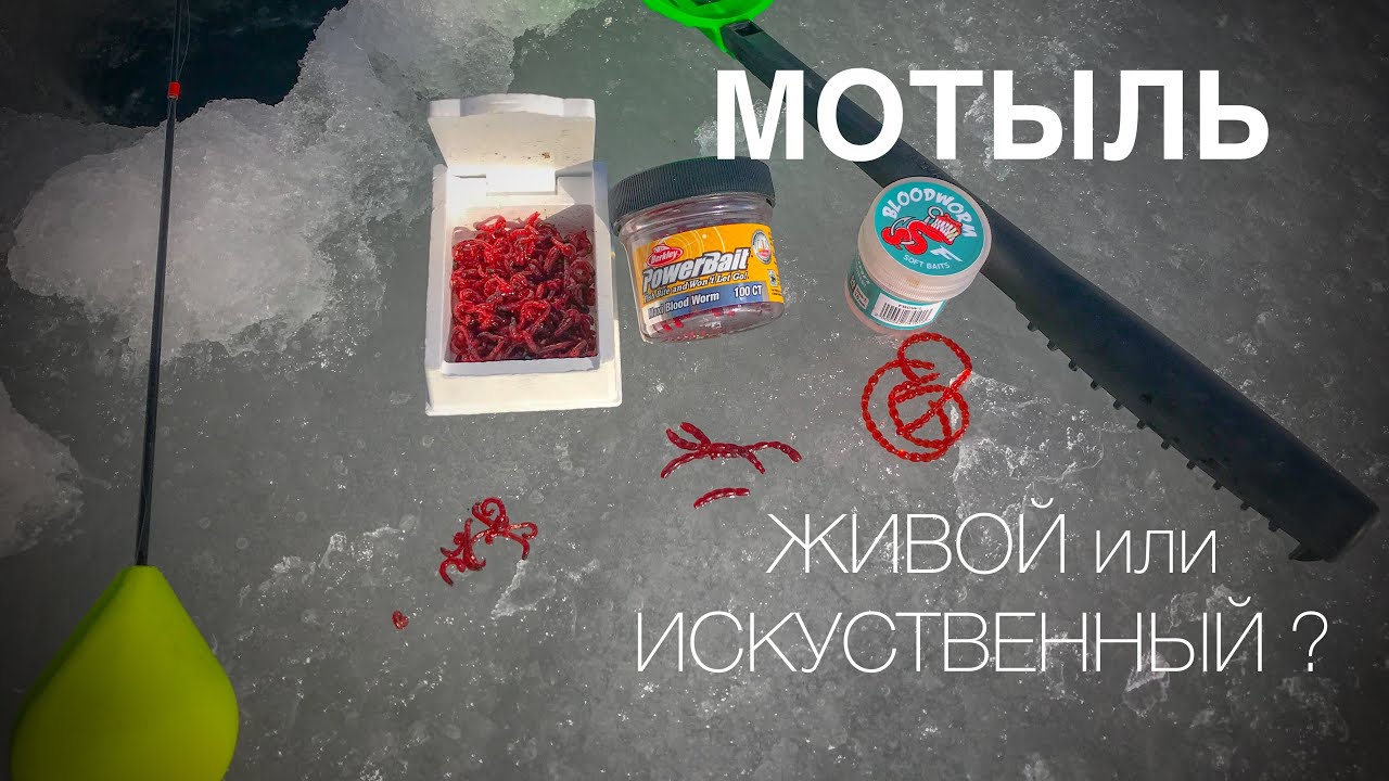 Мотыль,на какой лучше клюёт?