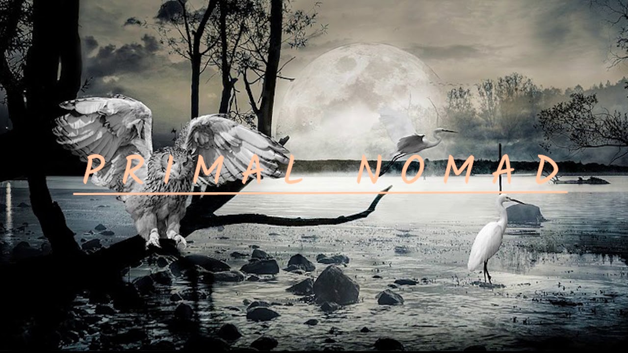 Bubo ascalaphus - Primal Nomad