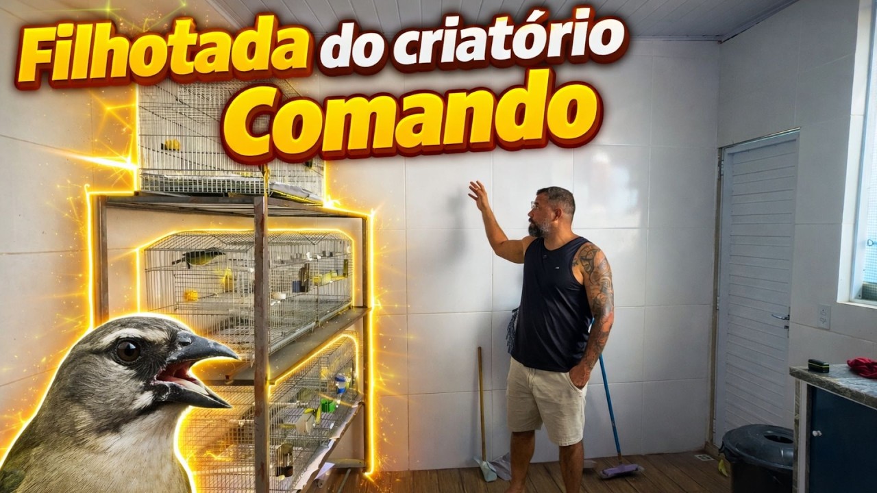 CRIAT&Oacute;RIO COMANDO DO TRINCA! NOVIDADES E INVESTIMENTOS TRINCA-FERRO.