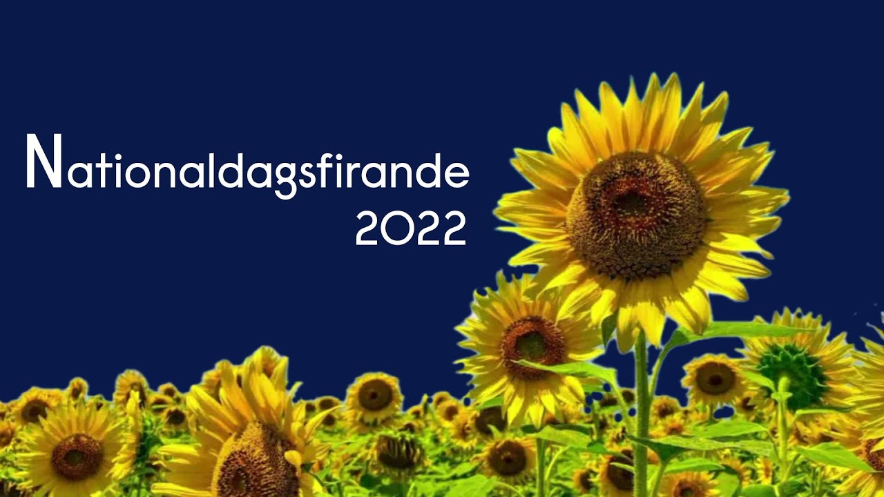 Nationaldagsfirande från Stora Torget