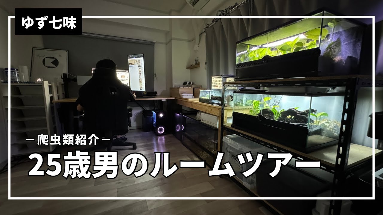 【ルームツアー】25歳、野郎の6帖爬虫類部屋を紹介！