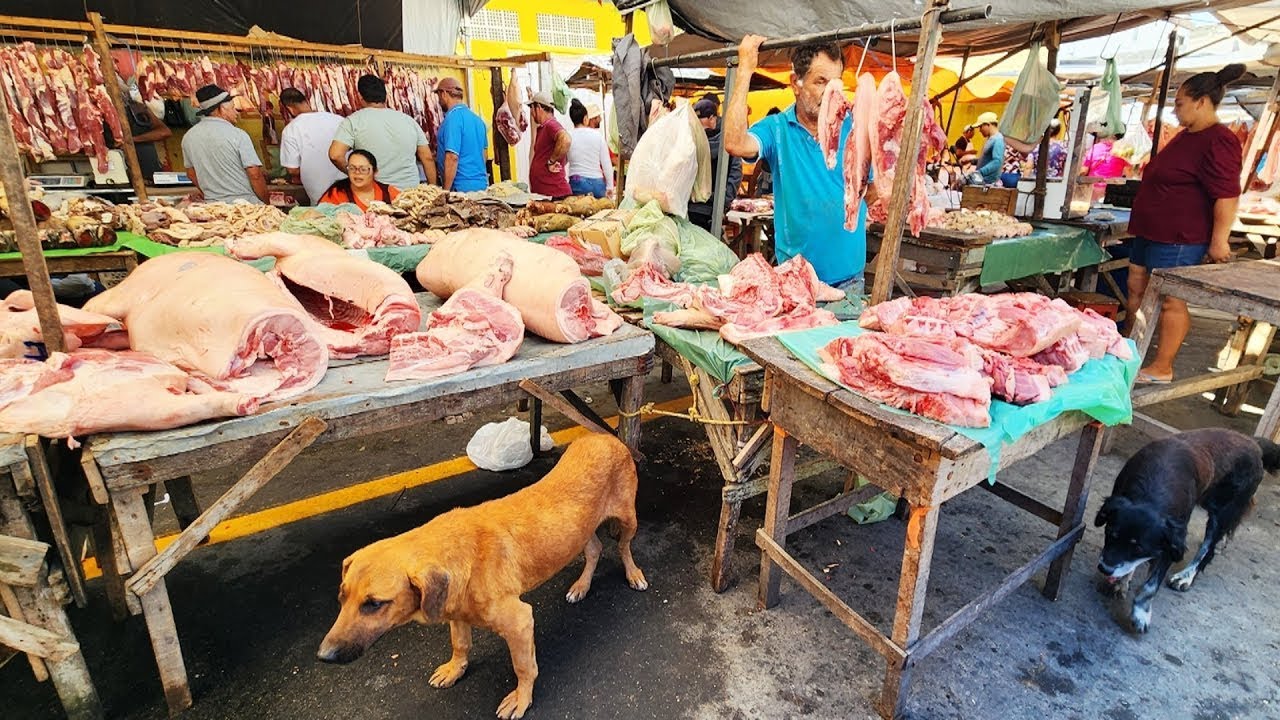 PRIMEIRA FEIRA DO ANO DE 2026 NO NORDESTE BRASILEIRO
