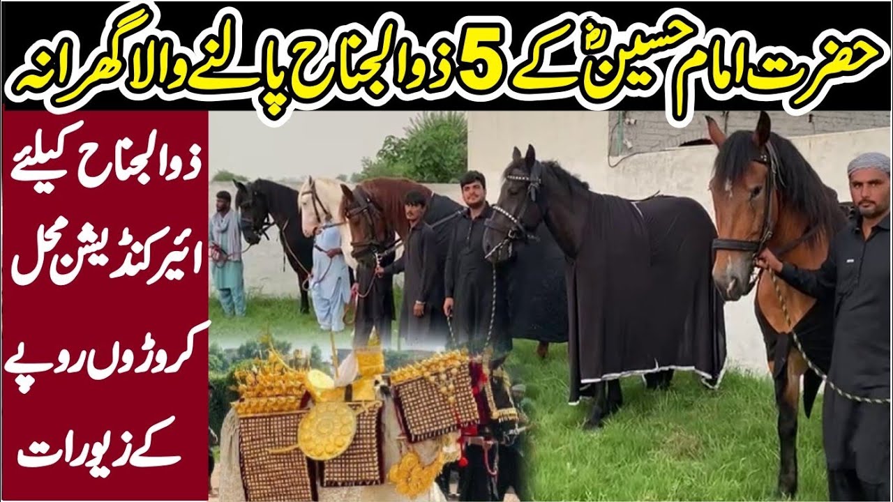 5 Zuljinah In One House || Sarkar-e-Zuljinah||Zuljanah Ka Mojza Murtajiz & Dul Dul Badshah||SubTak