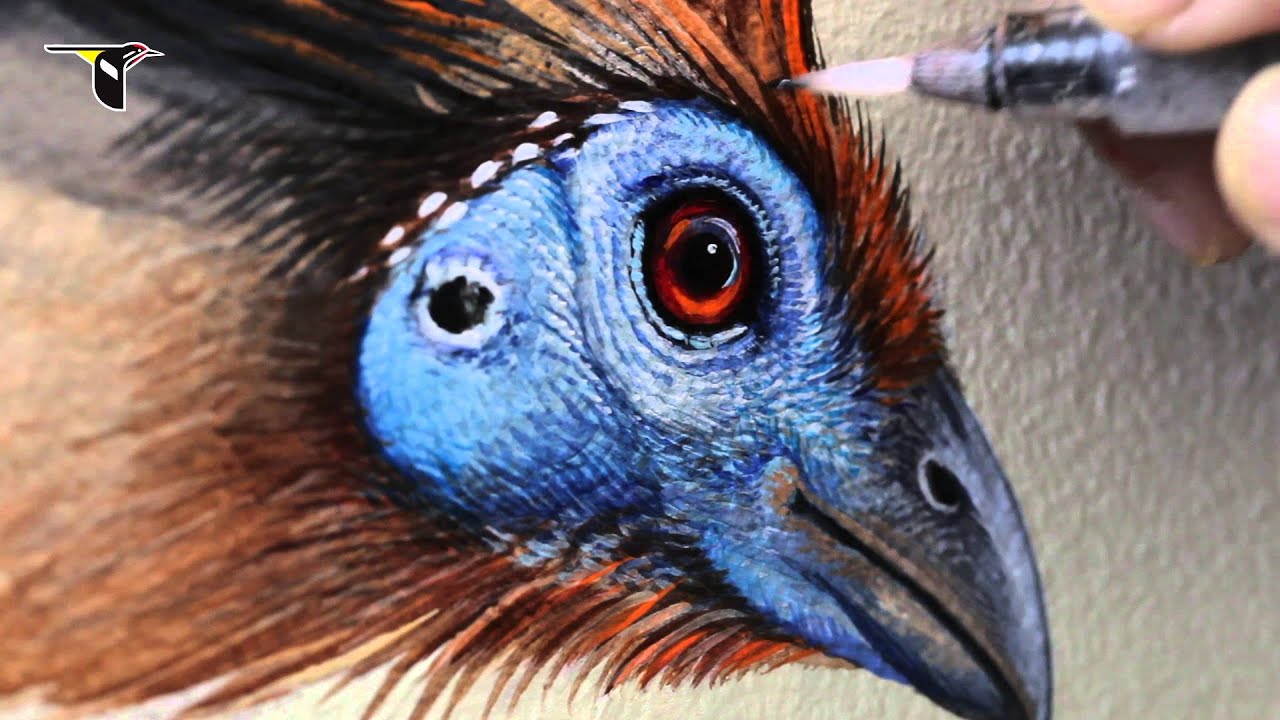 Reflecting Nature: Creating the Wall of Birds