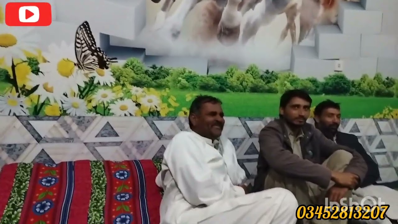 کبوتر قائد اعظم اور کمانڈو کی سٹوری سنی 