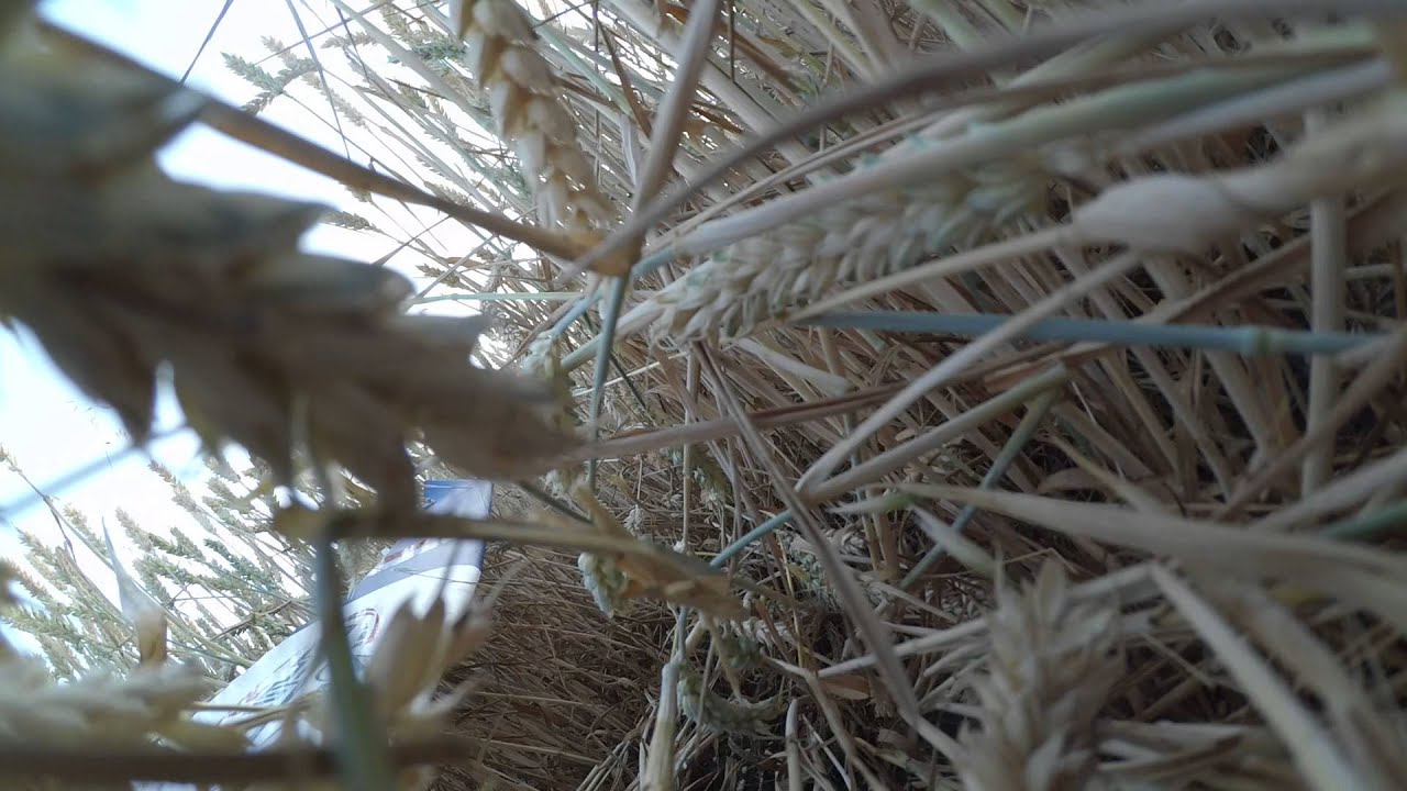 GAMA 2100 + XIAOMI YI + WIFI = CRASH 05.07.2015