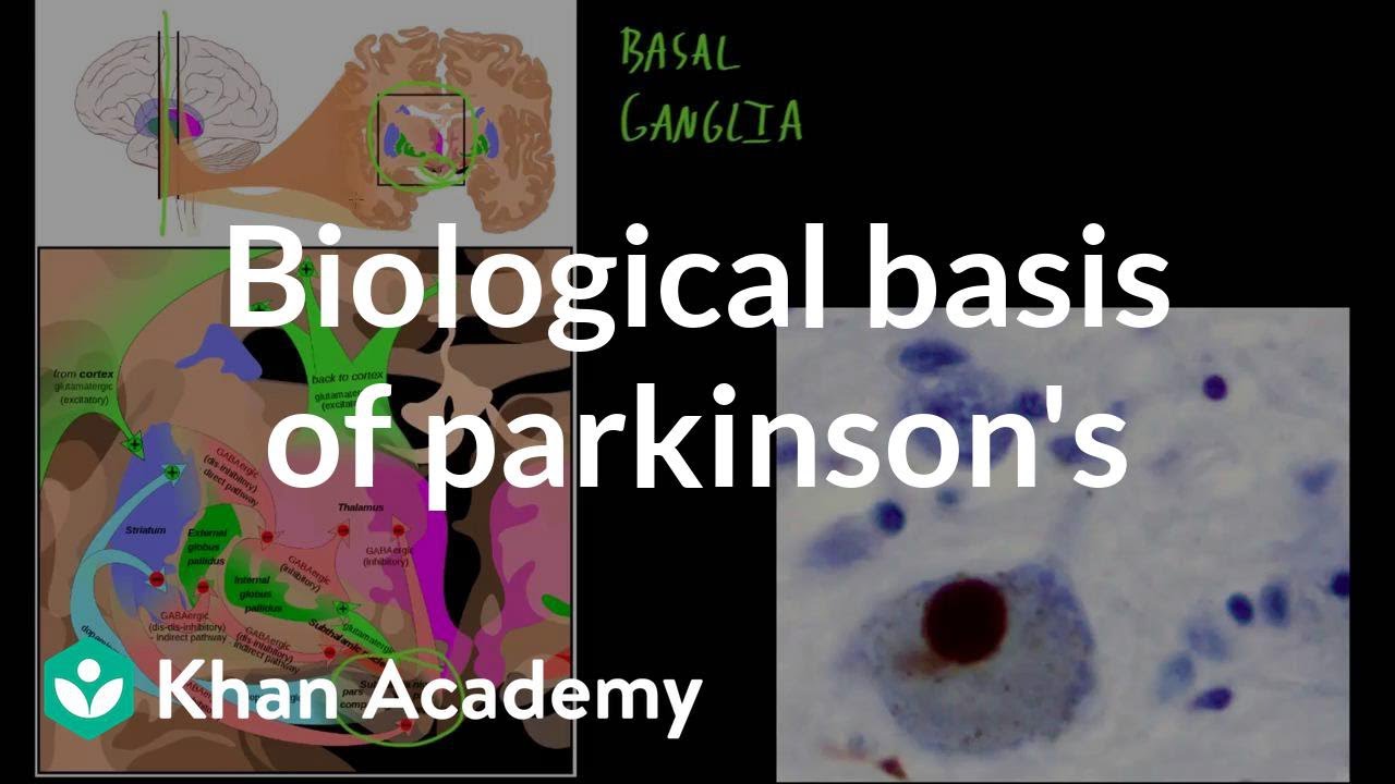Biological basis of parkinson's disease | Behavior | MCAT | Khan Academy