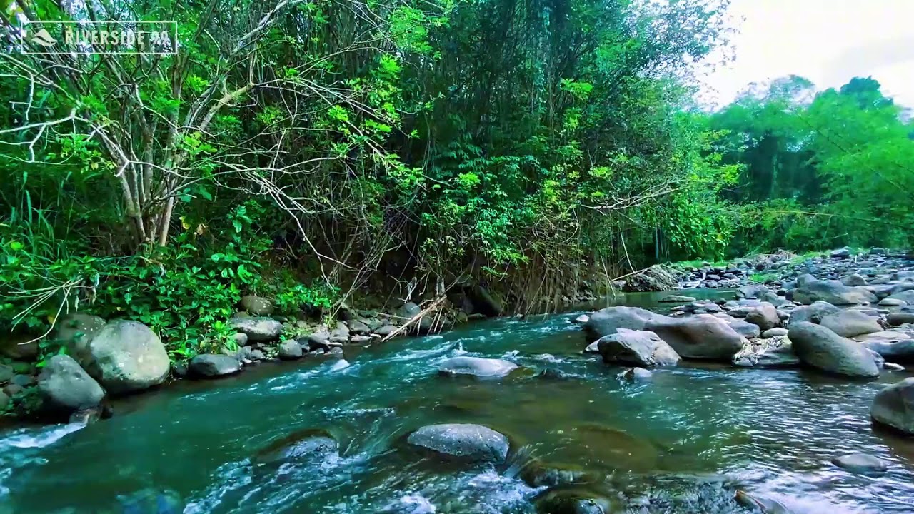 River Sounds for Sleeping Instantly | Gentle River Water Flow White Noise 24/7