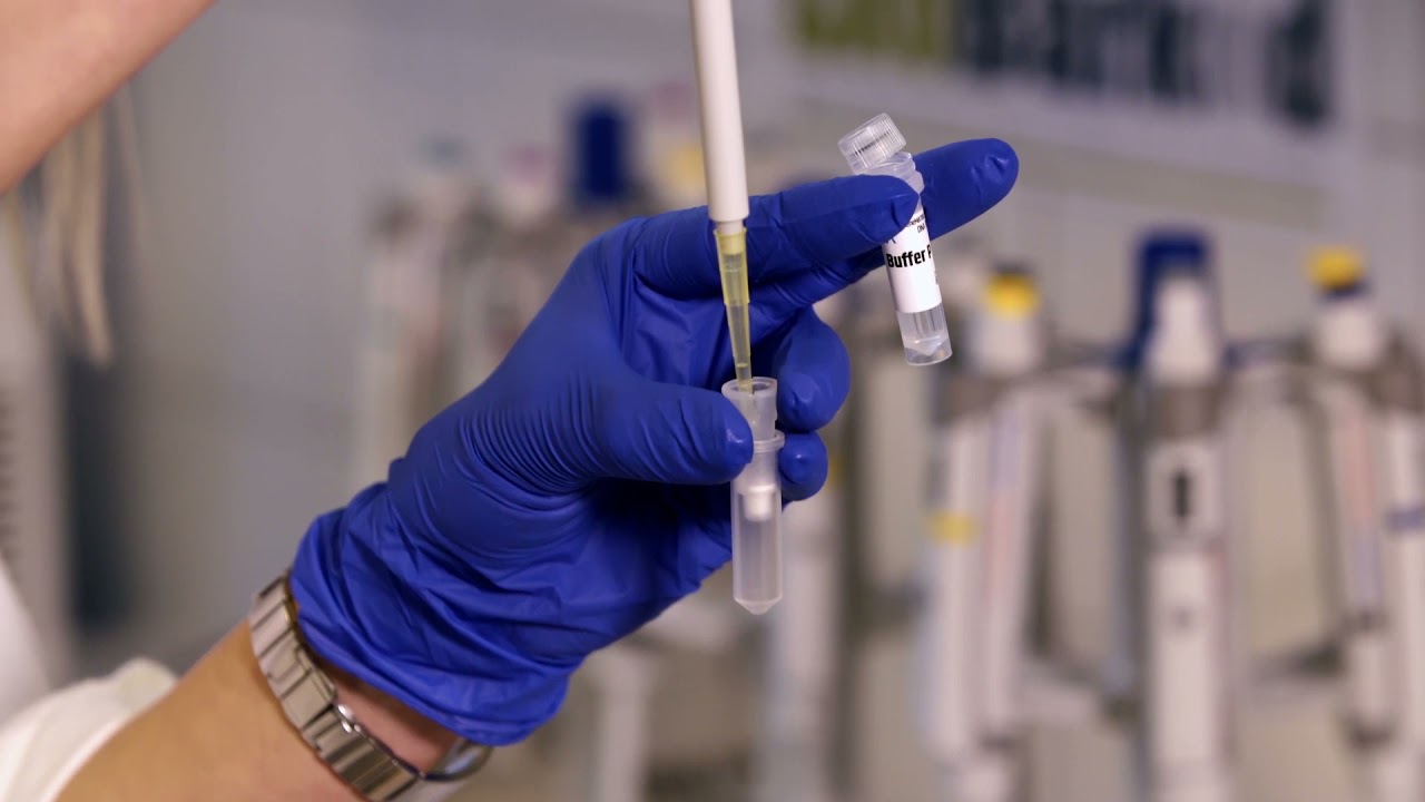 Izolacja DNA z grzybów i roślin