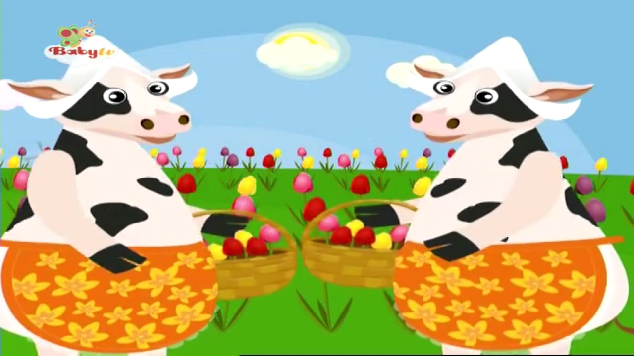 BabyTV Nederlands - Jammers - Concertina