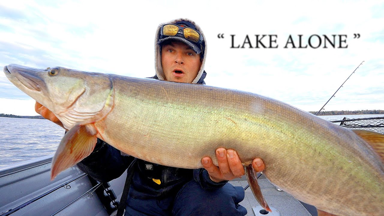 5 Days Chasing 50's - 
