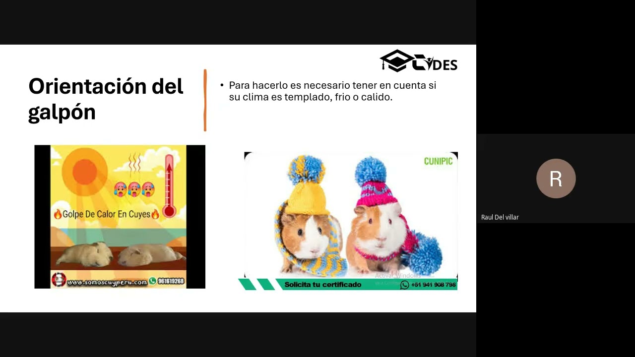 🏗️🐹 𝐃𝐈𝐒𝐄𝐍̃𝐎 𝐘 𝐔𝐁𝐈𝐂𝐀𝐂𝐈𝐎́𝐍 𝐃𝐄 𝐆𝐀𝐋𝐏𝐎𝐍𝐄𝐒 𝐏𝐀𝐑𝐀 𝐋𝐀 𝐂𝐑𝐈𝐀𝐍𝐙𝐀 𝐓𝐄𝐂𝐍𝐈𝐅𝐈𝐂𝐀𝐃𝐀 𝐃𝐄 𝐂𝐔𝐘𝐄𝐒
