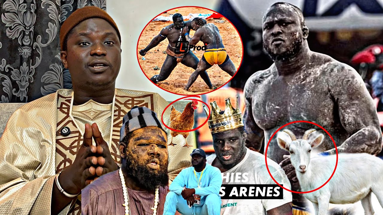 ‼️Modou Lo dagn ko diay alahu akbar Serigne Ciss&eacute; wakhna lepp ki diay Modou Lo khamna ko tei Sa Thie