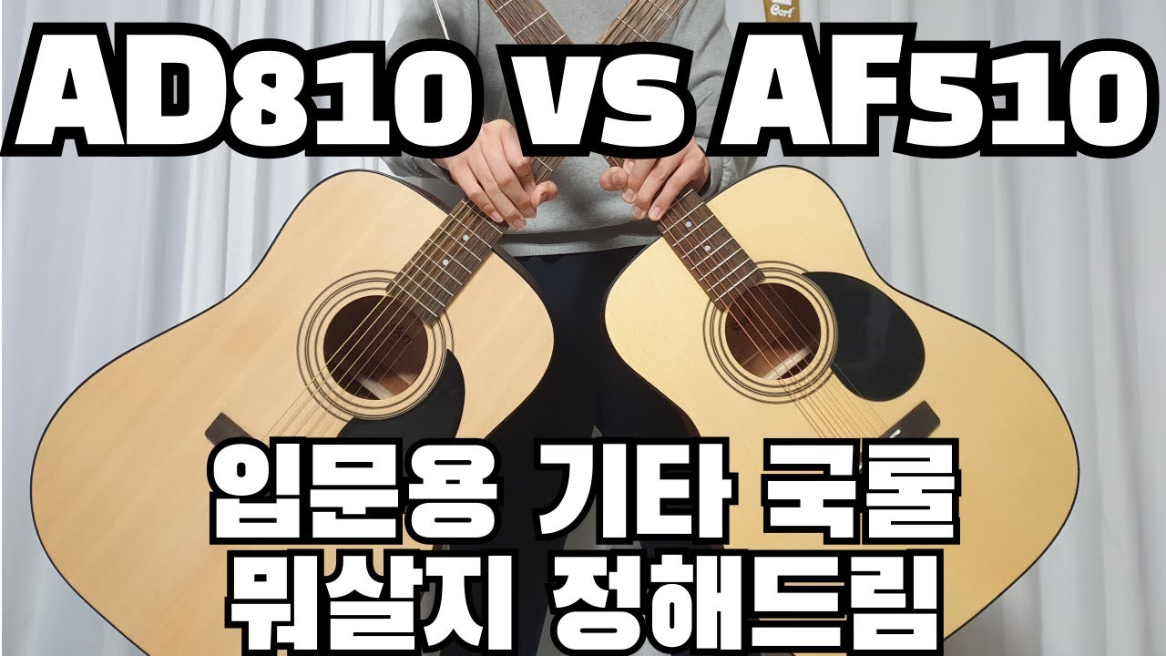10만원대 입문용기타 최강들 비교해봄 | 콜트 AD810 VS AF510