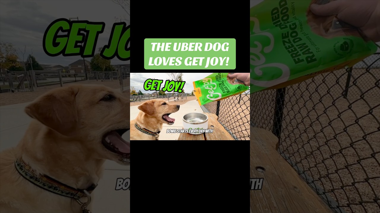 Лучшее! @getjoyfood Используйте UBERDOG50 и получите скидку 50% на первый заказ подписки! #petcar...