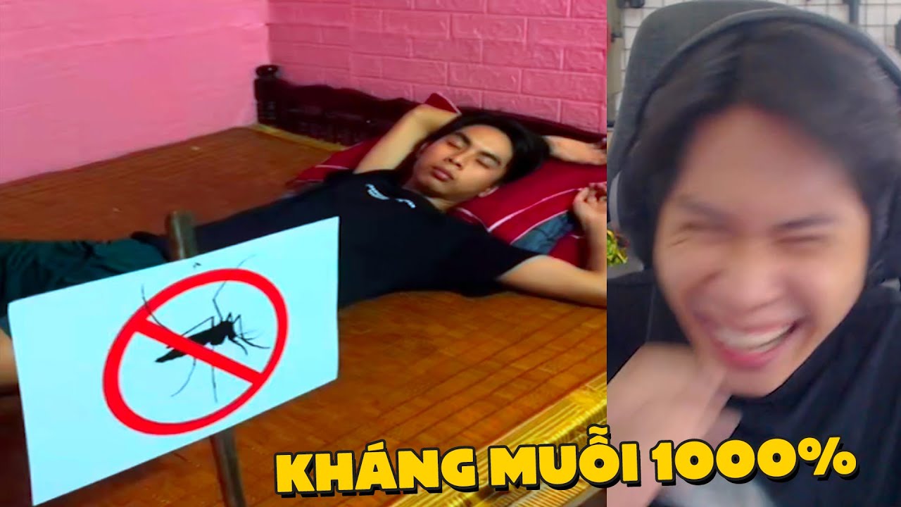 PobbRose TTCC C&aacute;ch KH&Aacute;NG MUỖI của người LƯỜI !!! (Pobbrose TTCC) ✔