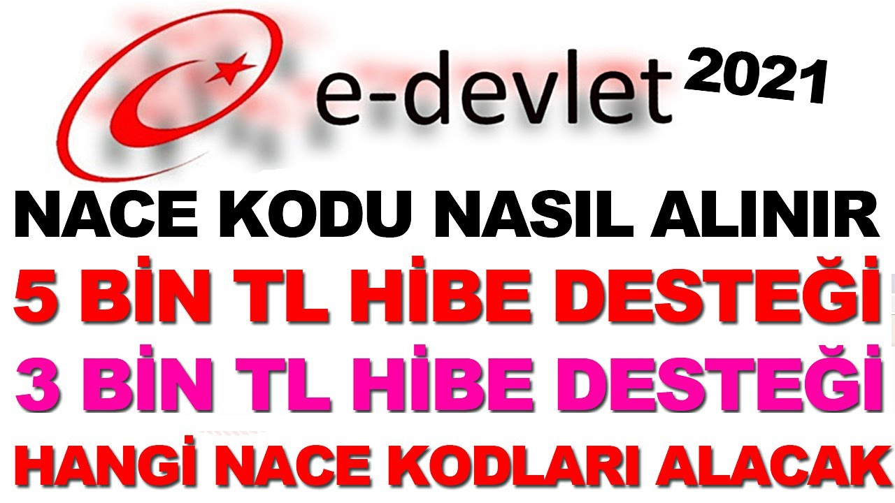 Nace Kodu Nedir - Nace Kodu Sorgulama - Nace Kodu Nasıl Alınır - Nace Kodu Nasıl Bulunur 2021