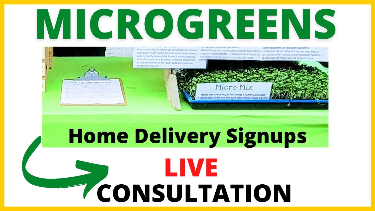 Microgreens Home Delivery Signups at the Farmers Market- Business Consultation
