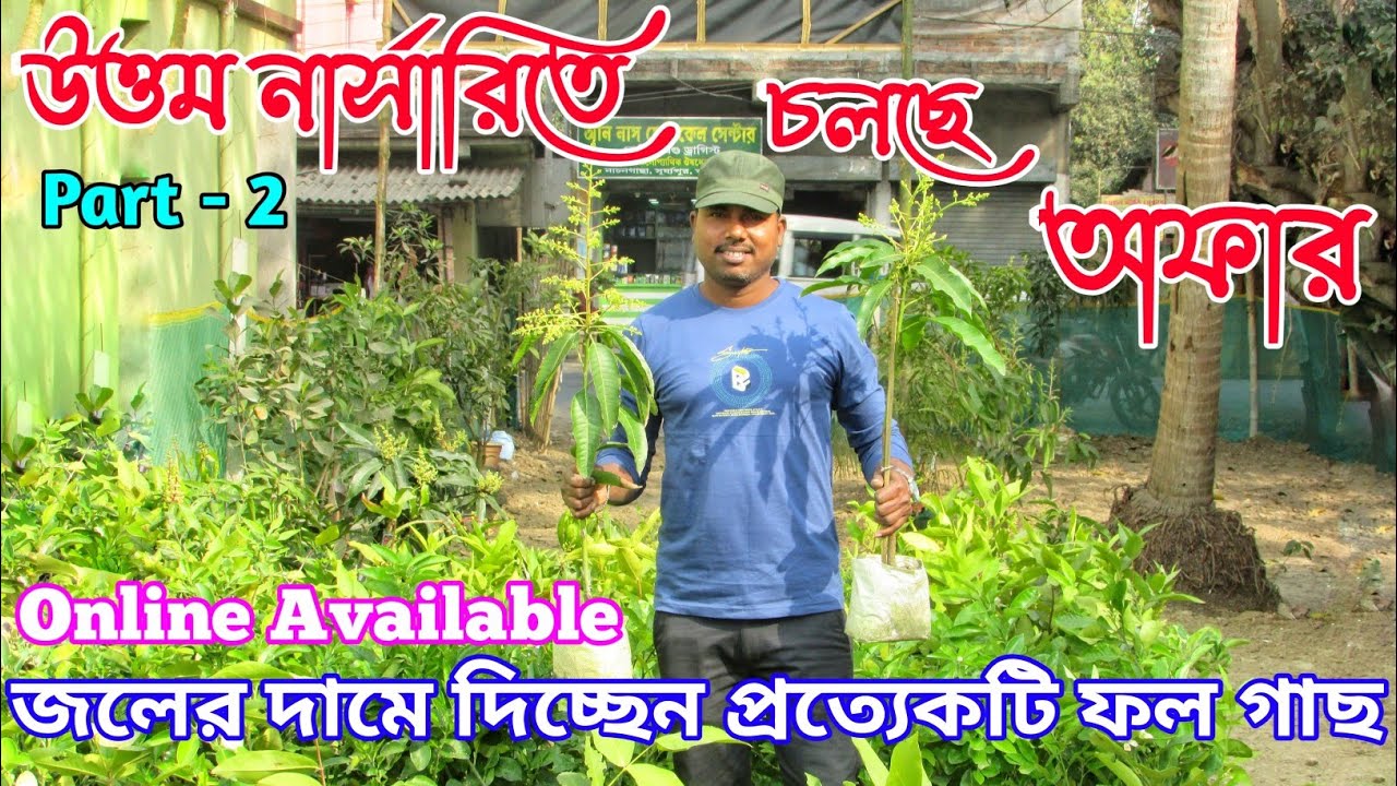 উত্তম নার্সারিতে চলছে অফার || Part -2 || 300+ দেশি-বিদেশি ফলের ভ্যারাইটি পাবেন এই নার্সারিতে আসলে ||