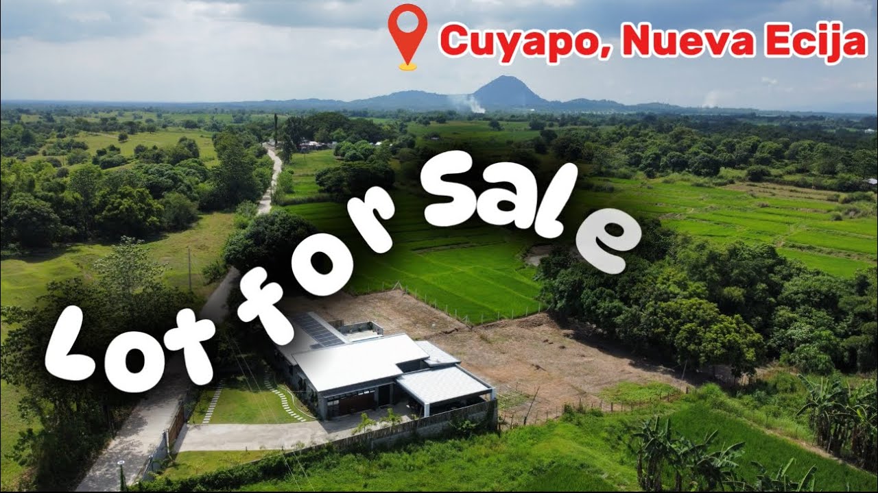 Land for Sale in Central Luzon! #philippines #nuevaecija #2025