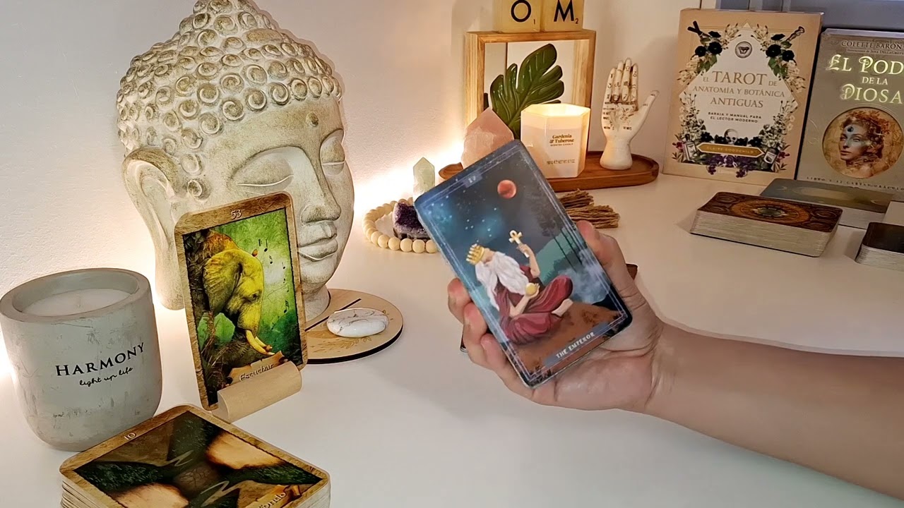 🧘🪷¿QUÉ DEBES SABER EN ESTE MOMENTO? ✨️TAROT INTERACTIVO ✨️