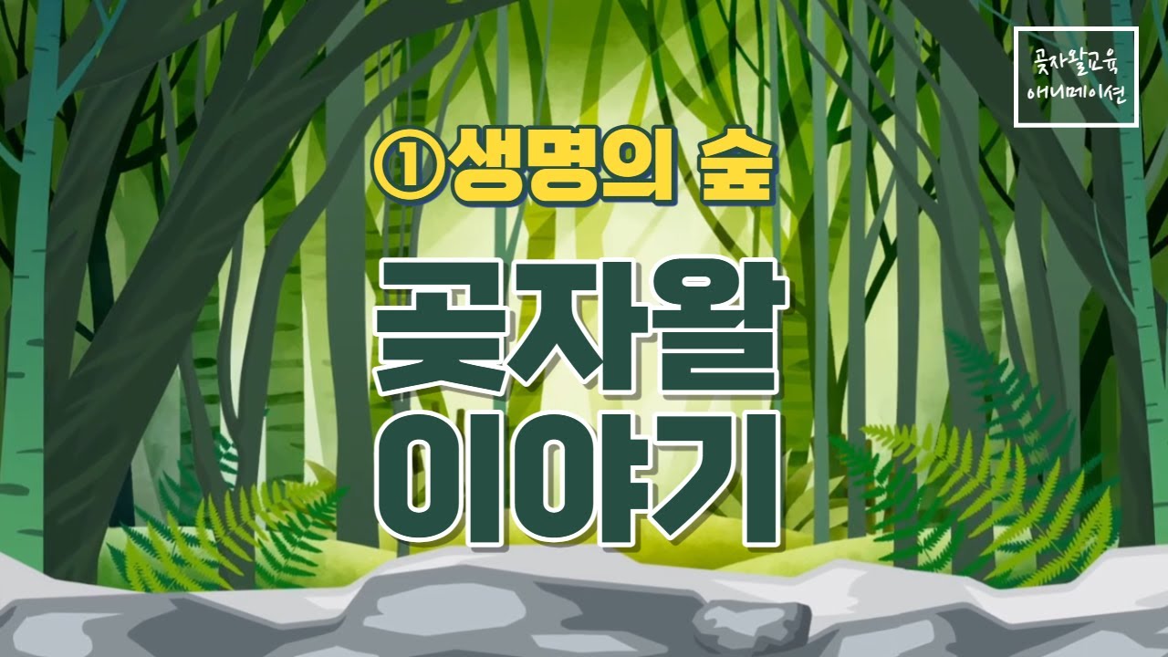 🌳생명의 숲, 곶자왈 이야기(제주 곶자왈 교육 애니메이션 1편)🌿