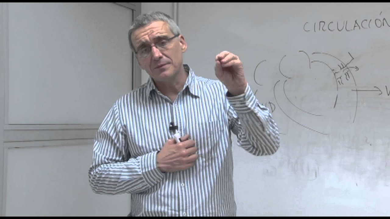 Fisiología III - Circulación Coronaria 1