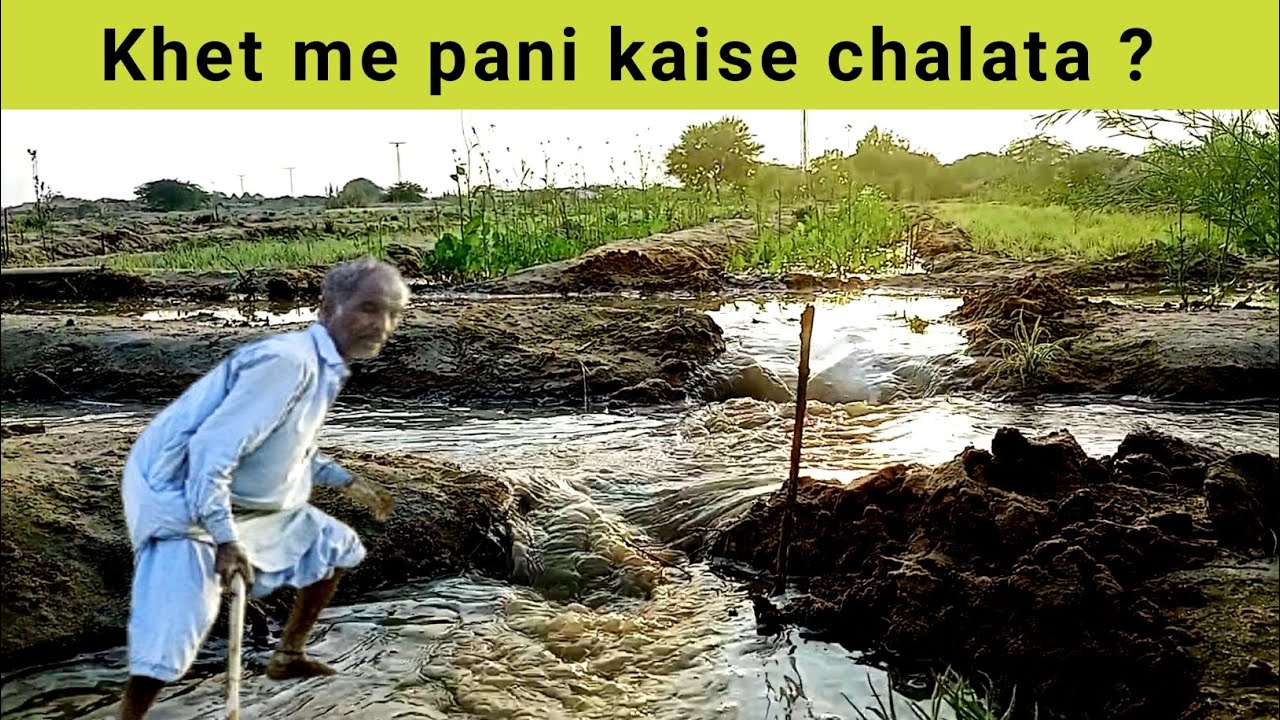 Gaon ka kisan pani chalata hua l real village farming 