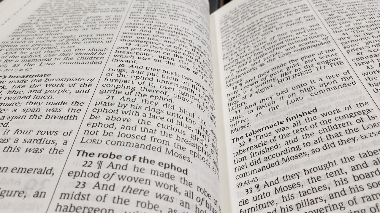 Exodus 38-40, 31 January 2026