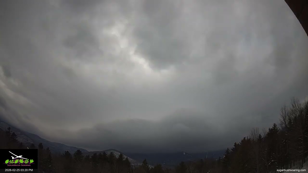 WaveCam 2026 02 25