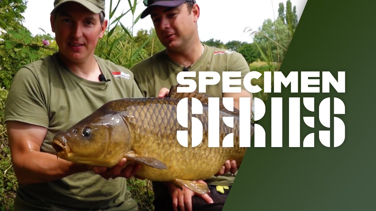 Surface Fishing For Carp - Floater Fishing Rigs, Tips & Tactics