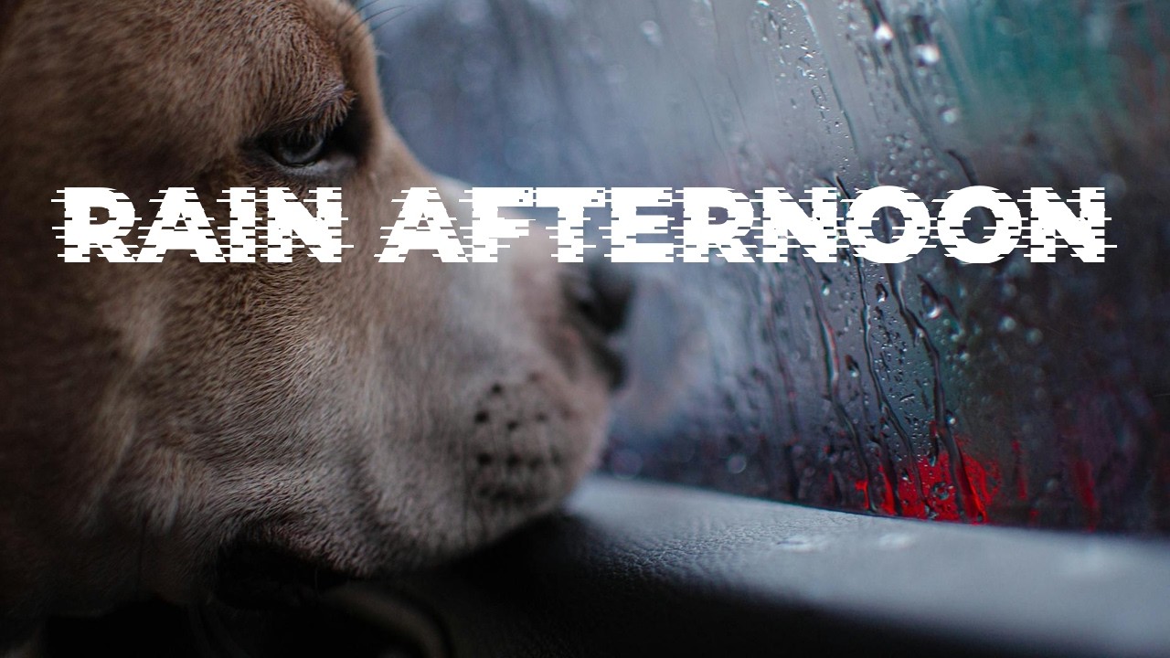 Rainy Afternoon by the Window | Gentle Ambient for Reading