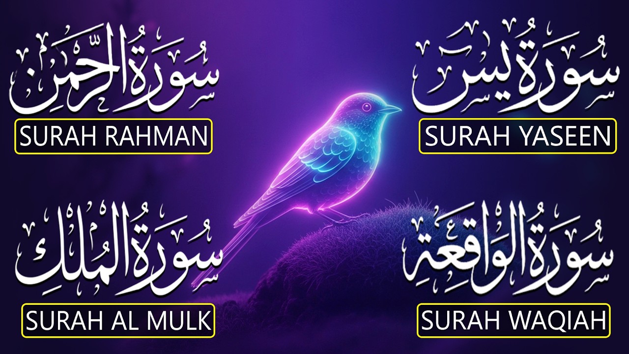 Very Nice Voice Surah Yaseen (Yasin) | Surah Rahman | Surah Waqiah | Surah Mulk | By Alaa Aqel