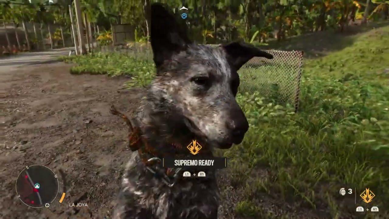 Far Cry 6 Livestream # 16