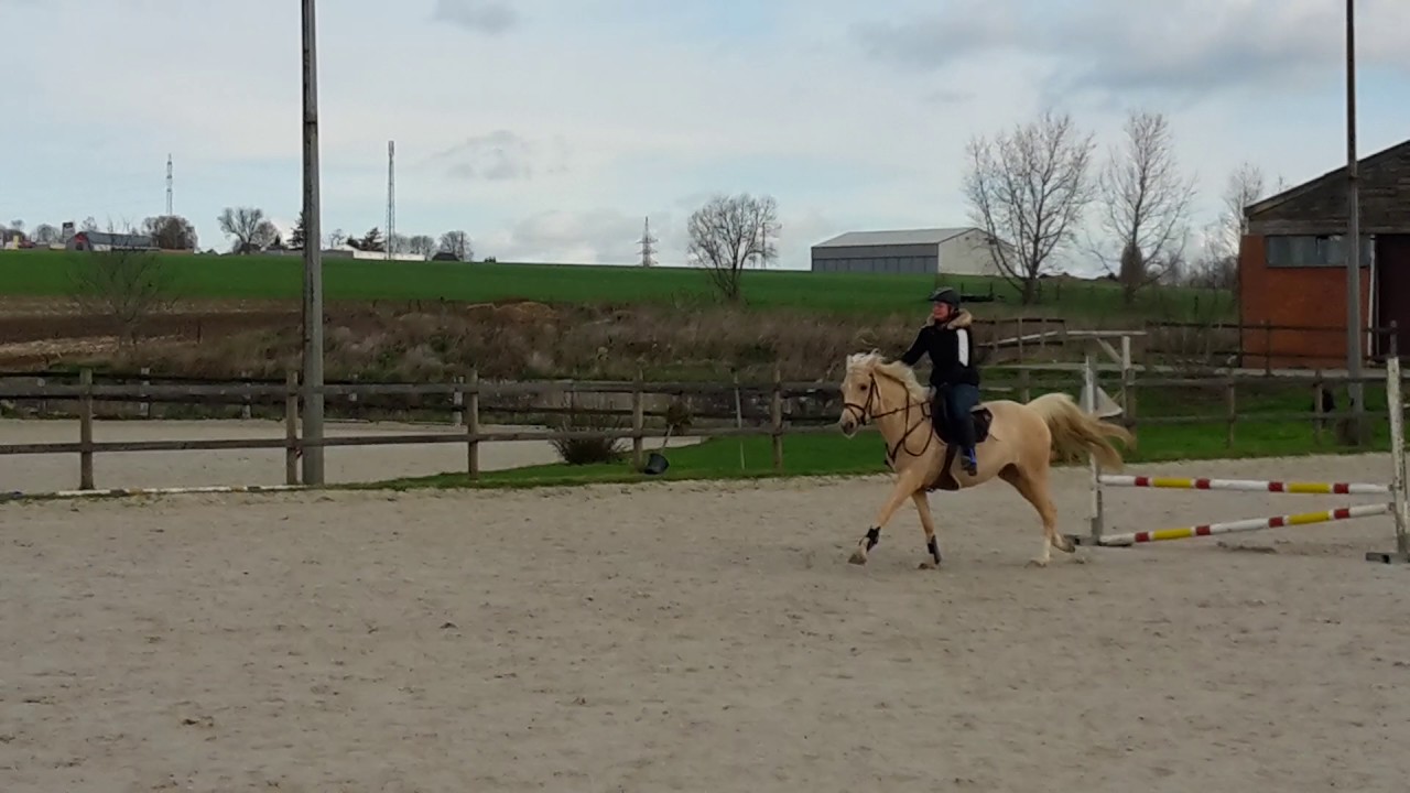 7 avril 2017