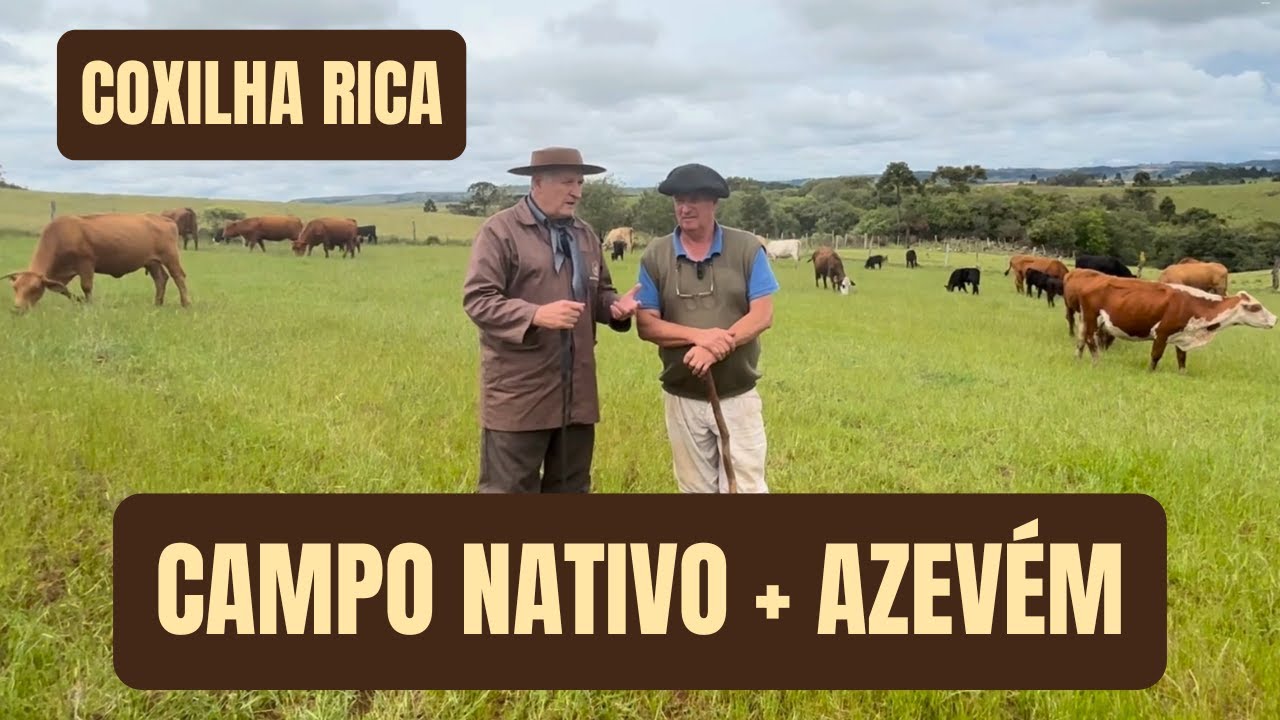 CAMPO NATIVO + AZEVÉM = 95% TAXA DE NATALIDADE