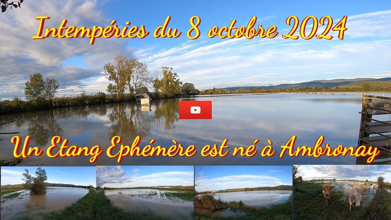 Un Etang éphémère  se forme suite aux intempéries du 08/10/2024 à Ambronay.