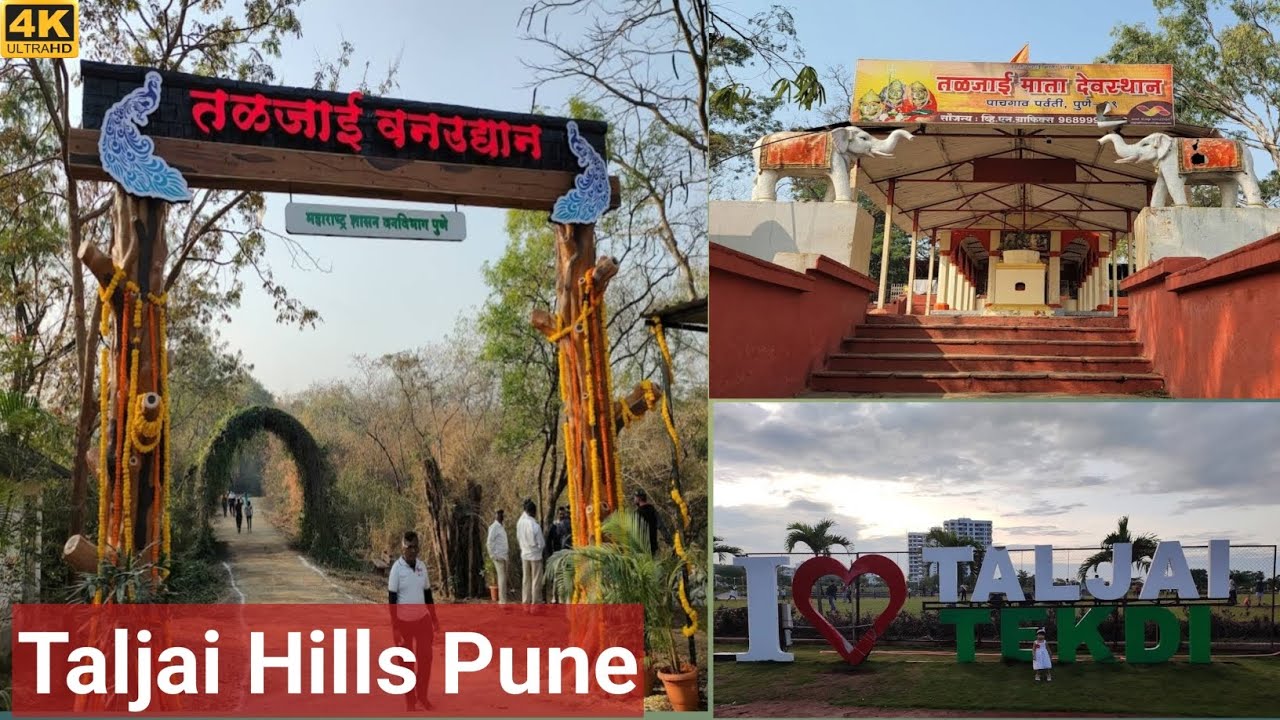 taljai hills | Taljai tekdi pune | Pune Vlog | weekend destination | तळजाई टेकडी | Pune