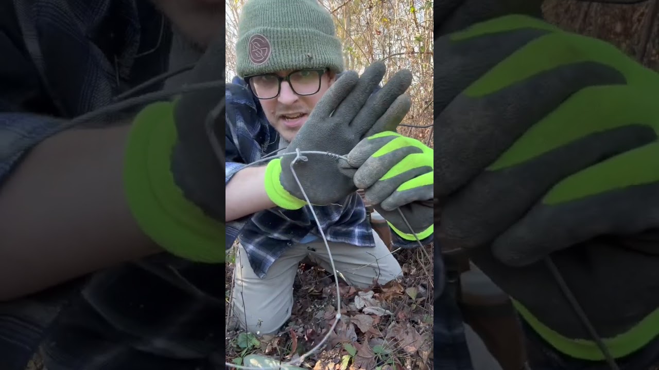 How to Set a Snare Trap in 1 Minute! #trapping #predators #farmlife #bobcats #foxes #raccoon