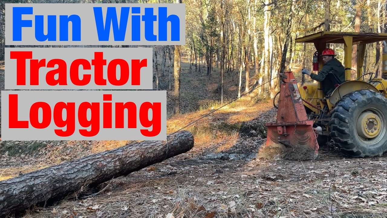 Small Scale Tractor Logging for Off Grid Cabin Build