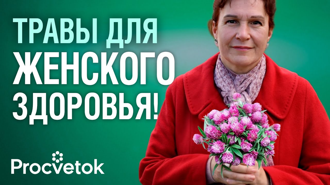 САМЫЕ МОЩНЫЕ ЖЕНСКИЕ ТРАВЫ! Помогут при климаксе, ПМС, плохом настроении и для красоты