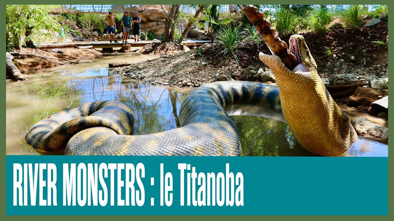 RIVER MONSTERS - le Titanoboa