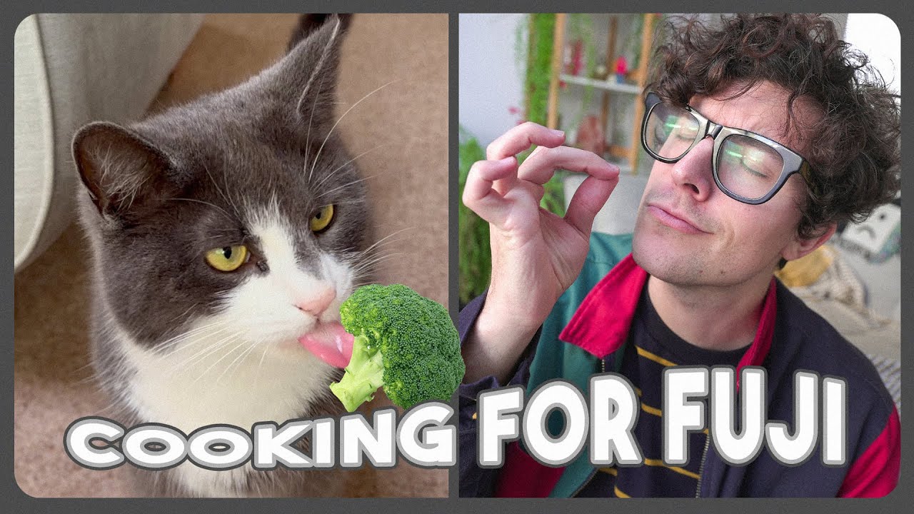 Cooking For My Chaotic Cat