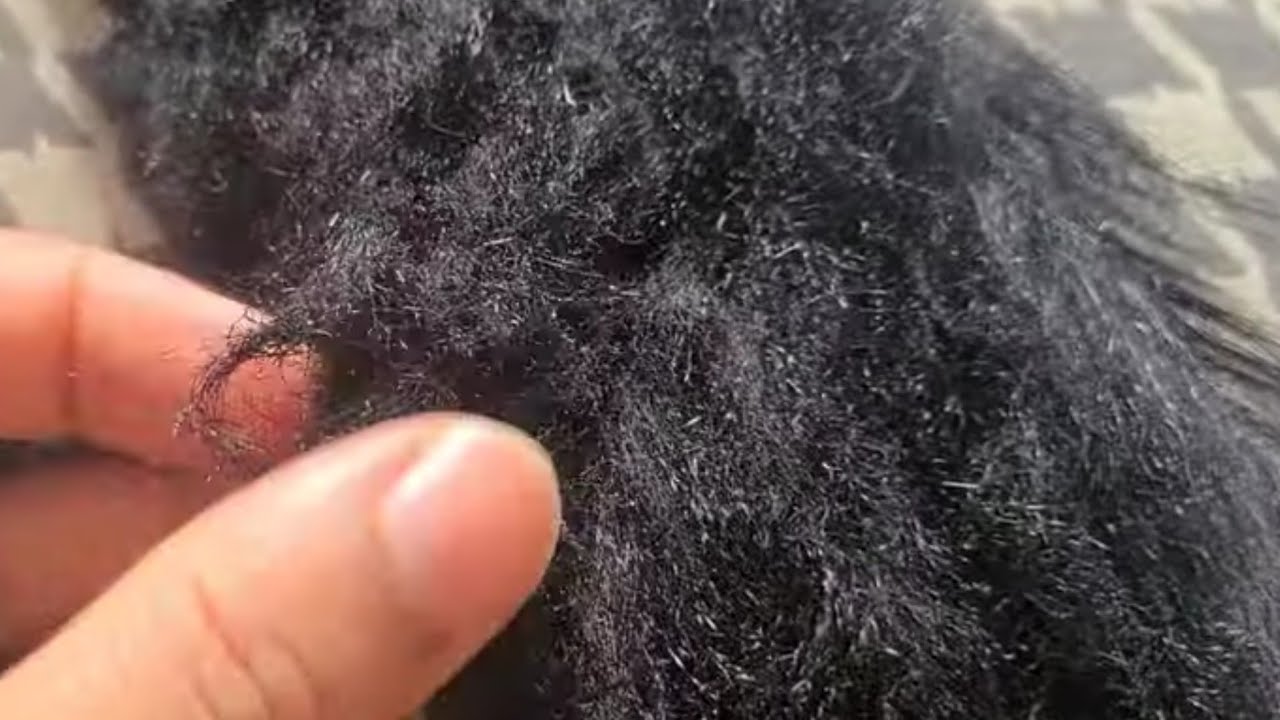 Faux fur fix after dryer damage/how faux fur can be restored to a good looking condition/what to do?