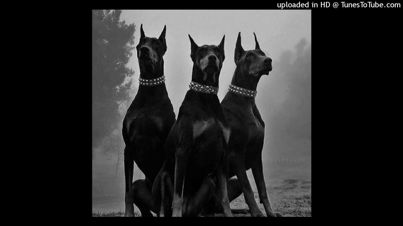 [FREE FOR PROFIT] BASE DE RAP BOOM BAP - 