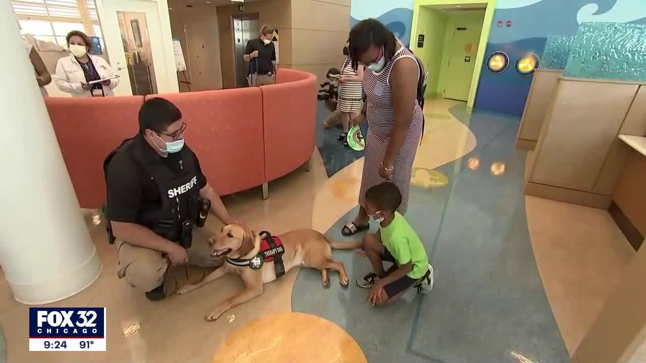 Therapy dogs spreading cheer at Chicago children's hospital