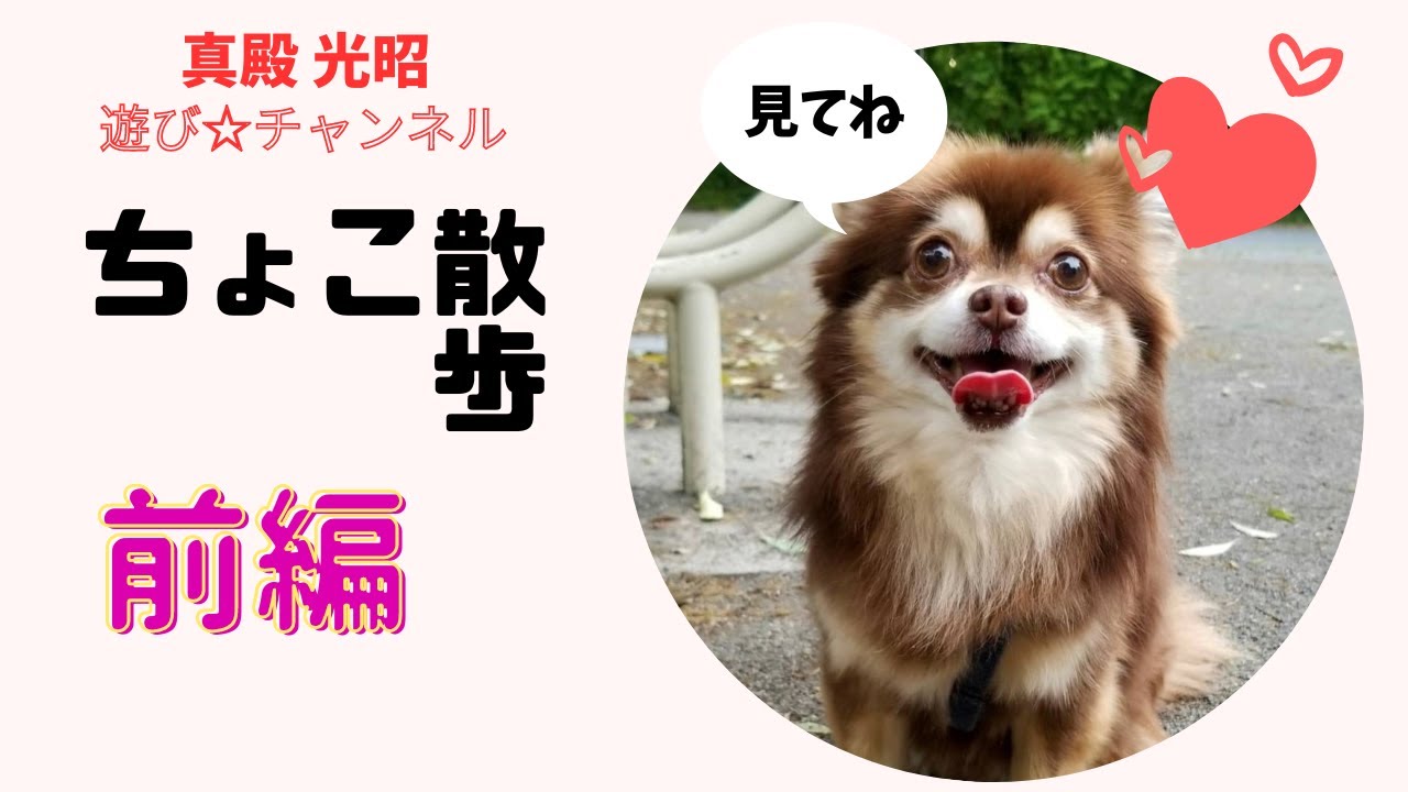 ちょこ散歩～昭和記念公園を散歩～【前編】