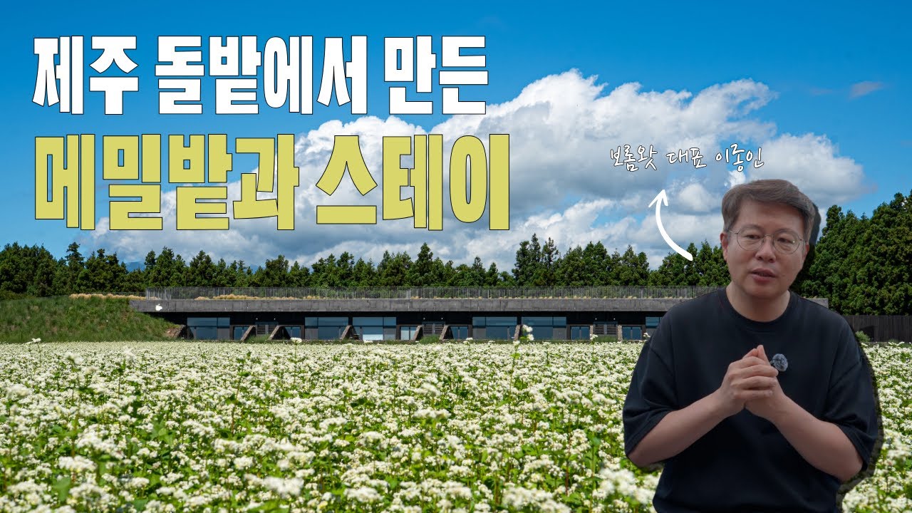 제주도 감성 숙소 추천｜창밖이 온통 메밀밭, 이런 공간이 또 있을까? (보롬왓 & 스테이 느릇)