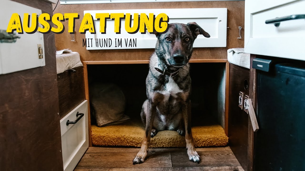 Allgemeine HUNDE GRUNDAUSSTATTUNG | VANLIFE Panamericana